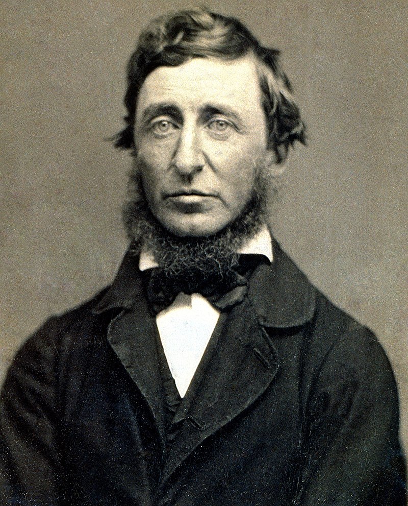 800px-Benjamin_D._Maxham_-_Henry_David_Thoreau_-_Restored