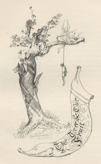 Tree &amp; the Fruit